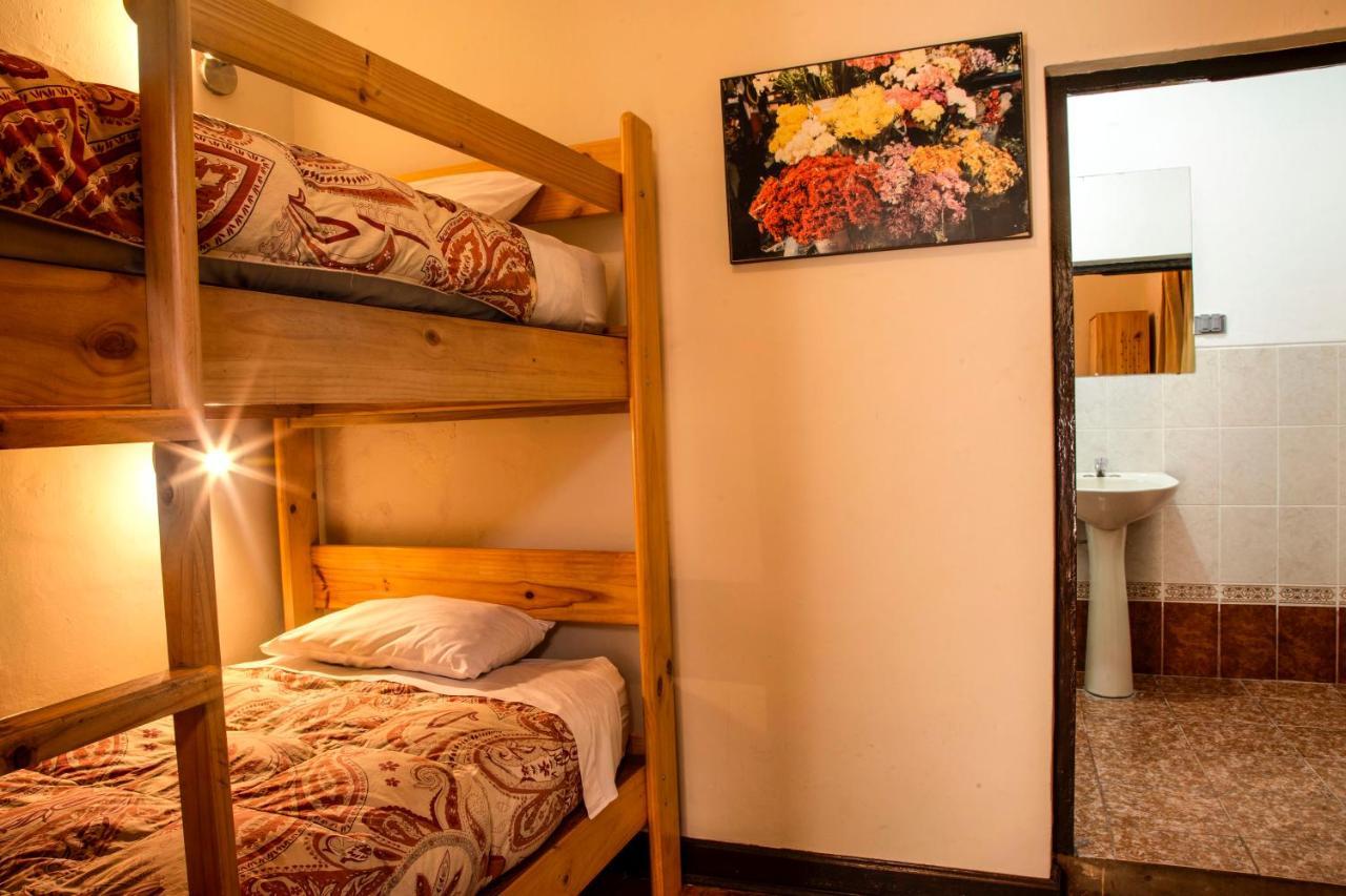 Bear Packer Auberge de jeunesse *